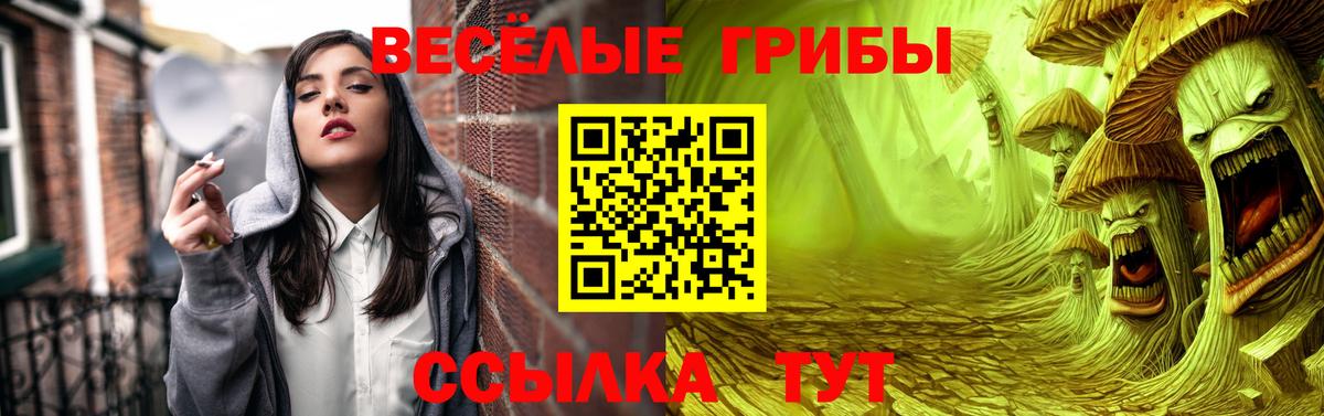 Псилоцибиновые грибы ЛСД  Вход с VPN  Искитим  продажа наркотиков  Галлюциногенные грибы прущие грибы 
