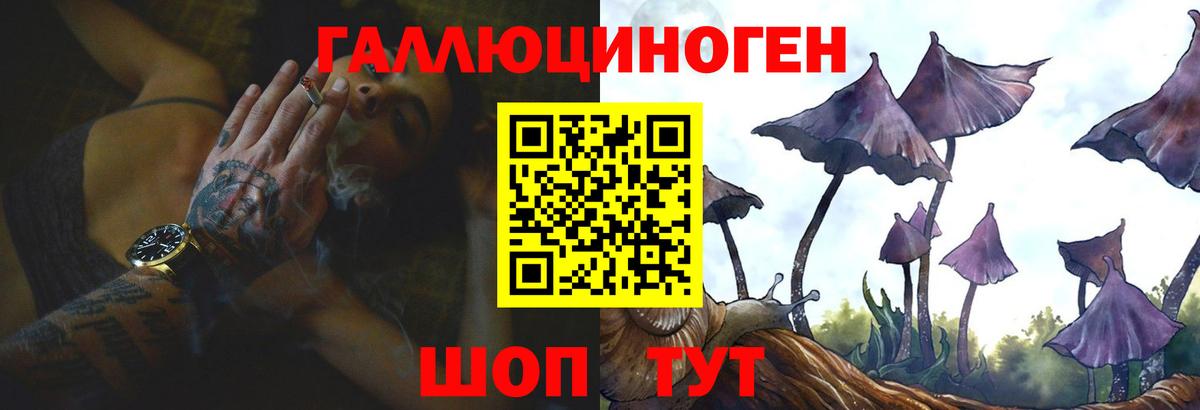Псилоцибиновые грибы Psilocybine cubensis Искитим